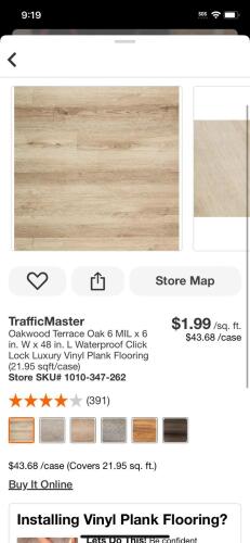 Lot 19