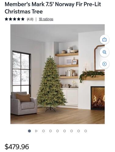 Lot 244